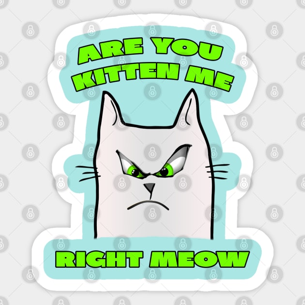 Are You Kitten Me Right Meow Sticker by A T Design